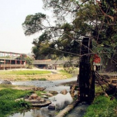 逛鷺島-同安農(nóng)家樂麗田園