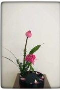 廈門交友花見·見己【中國傳統(tǒng)插花藝術(shù)】花道沙龍即將開始